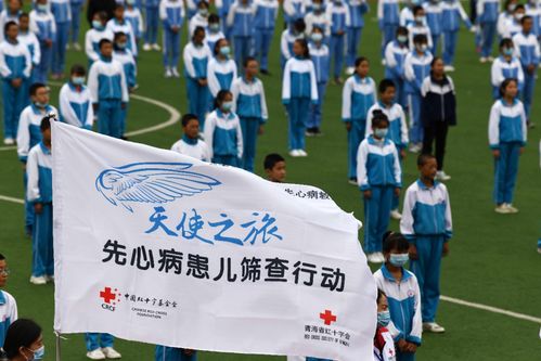 中国红十字会大病救助