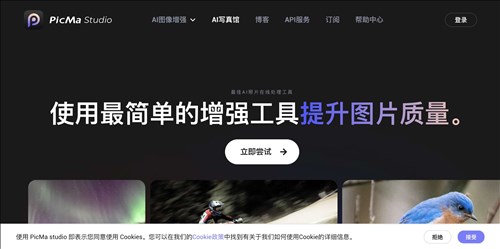 PicMa Studio网页截图