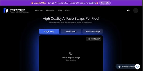 DeepSwapper网页截图