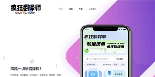 疯狂翻译师网页截图