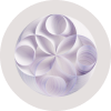 Watsonx.ai Watsonx.ai
