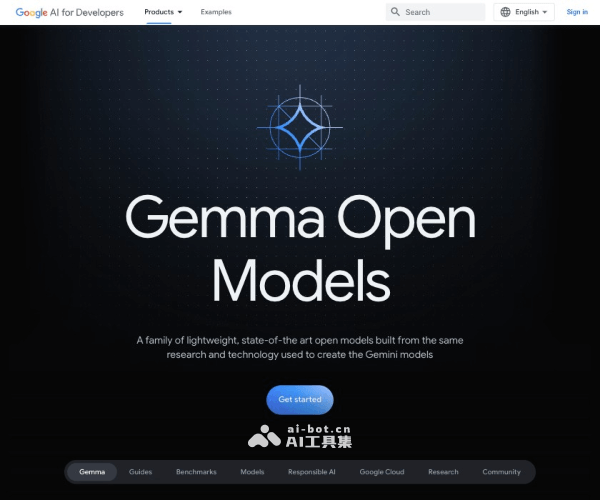 Gemma网页截图
