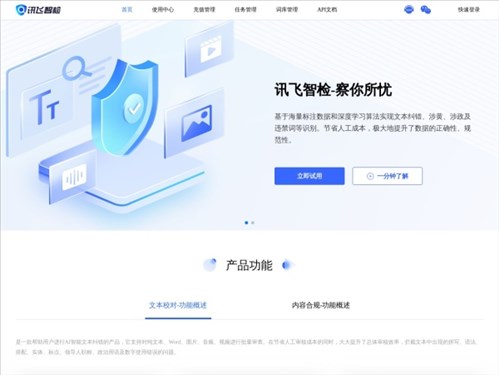 讯飞智检网页截图